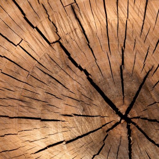 Detailed view of rustic wooden texture, showcasing natural patterns and cracks.